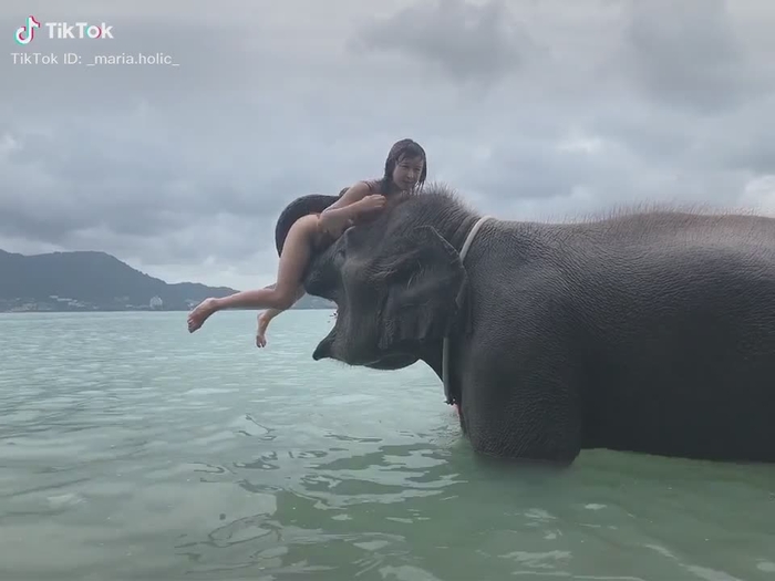 ゾウさん🇹🇭🇹🇭🇹🇭🇹🇭