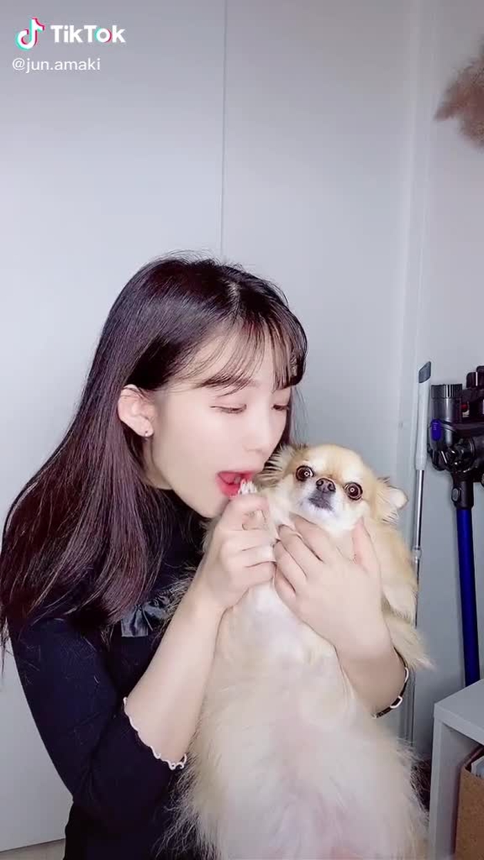 #音声効果チャレンジ #愛犬をバズらせたい #愛犬にいたずら　#コロネちゃん　#じゅんコロ　#天木じゅん