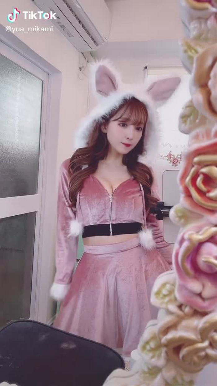 🐰