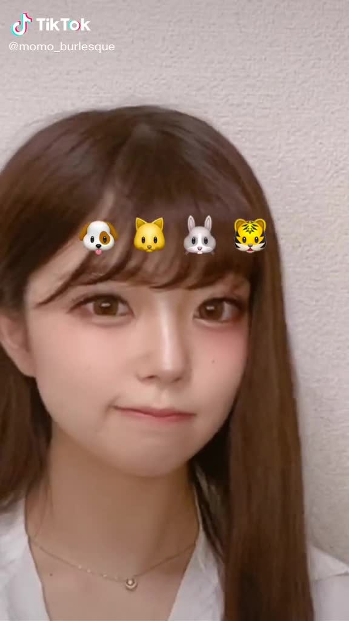 どの子がかわいい、？음원 너무 귀여워！#추천 #fyp #おすすめ #forYou #foryoupage #おすすめにのりたい #バーレスク東京 #バーレスク#kawaii
