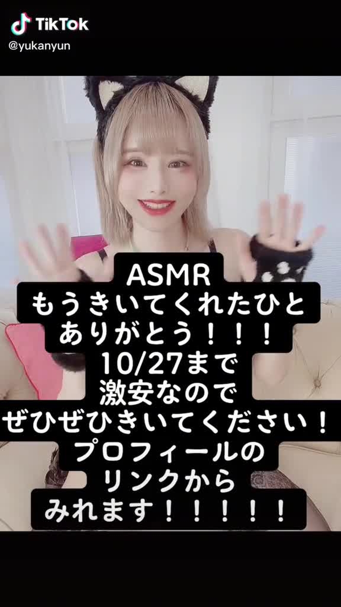 ﾈｺﾁｬﾝ