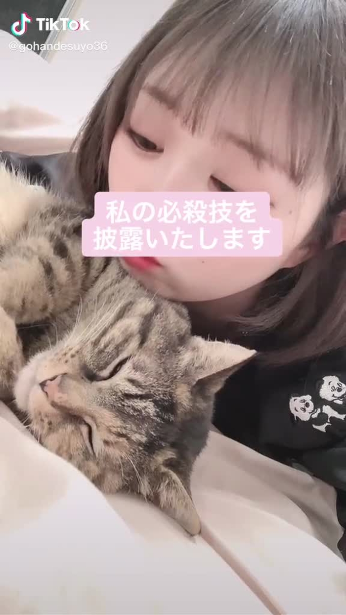 一個前の動画の結末🐈#猫のいる暮らし #猫のいる生活  #ふみふみ #してる #かわいい #必殺 #猫吸い #いい匂いする #臭くても #たまらんなぁ #猫ツーショット #基本 #ふたりでひとつ
