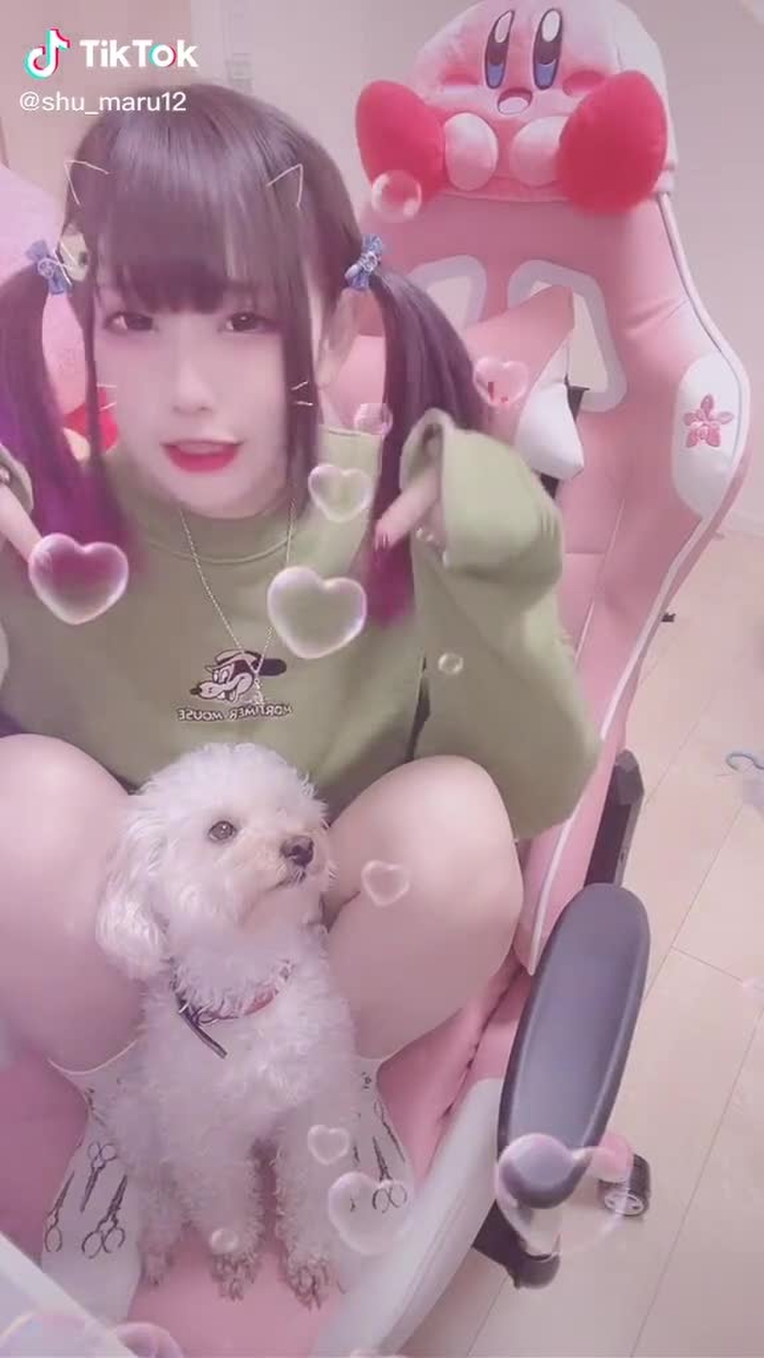むくさんだいちゅき(๑´ڡ`๑)ぺろぺろ #愛犬 #愛犬がいる暮らし #おすすめ #ツインテール #引きこもり