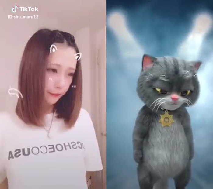 @반푸냥이 と一緒に ＃デュエット #猫 #だれでもダンス
