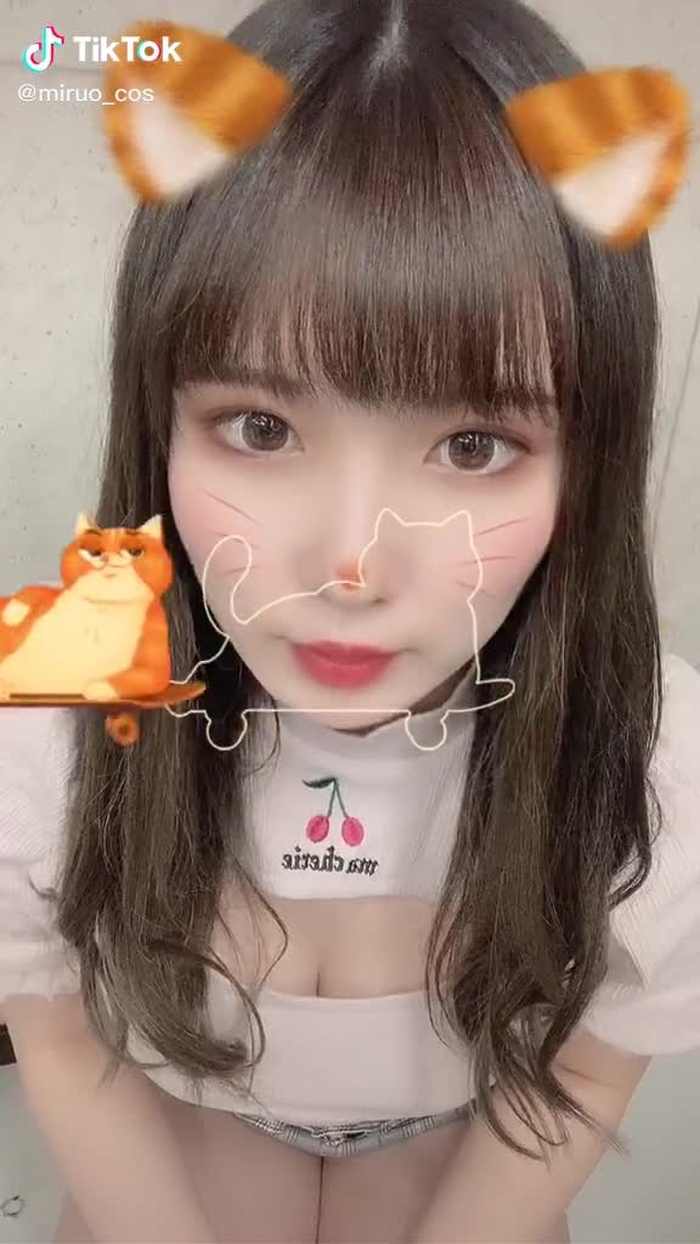はじめ猫じゃなくて曲のリズムに乗ってる #猫合わせ