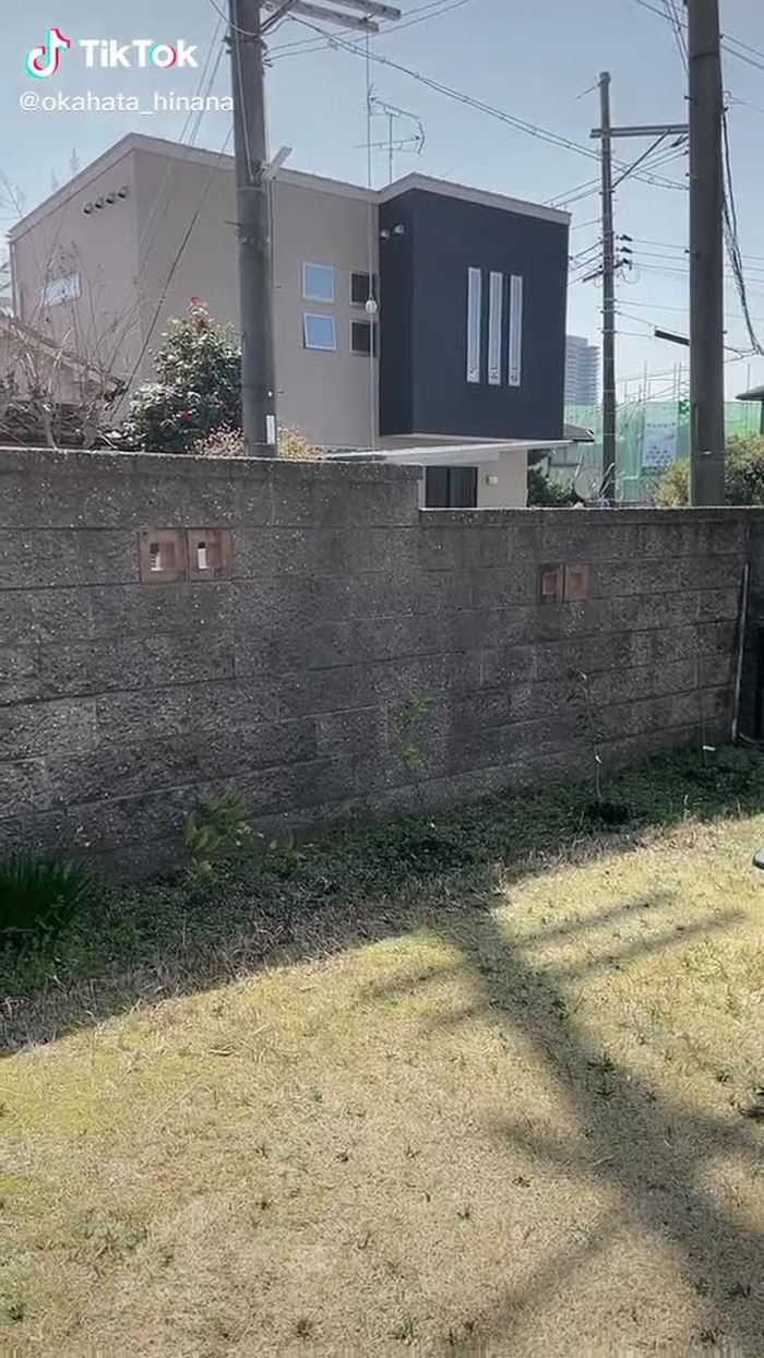 #備長炭ダンス  楽しい😳😂#備長炭#備長炭ダンス踊ってみた #踊ってみた #ひとりじゃない #おすすめ乗りたい #踊ってみた #運営さん大好き #トレンド #楽しい毎日 #卒業