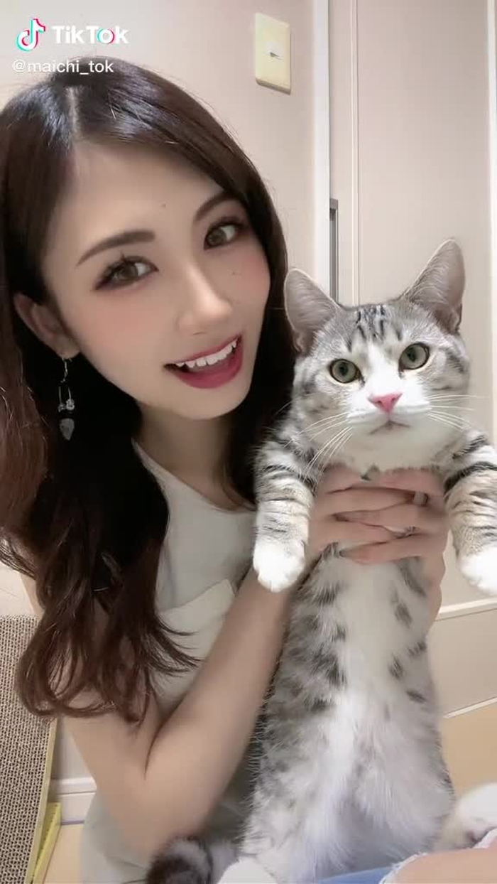 #やる気のない猫 #猫 #猫のいる暮らし