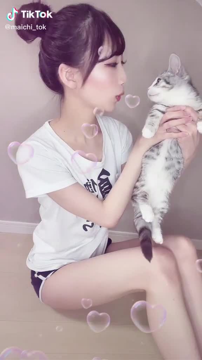 にゃんだふるライフ🐈⭐️#うちの子デビュー #猫のいる暮らし #子猫
