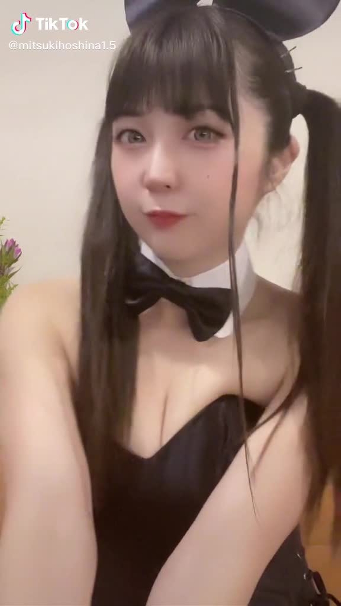#バニーガール向上委員会 #バニーガール