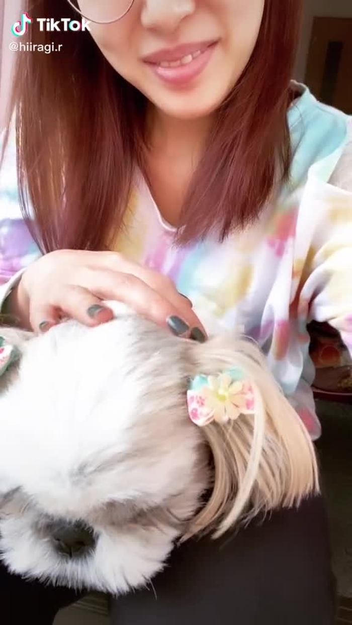 #最後から6番目の動画に合うらしい #どっち飼いたい？