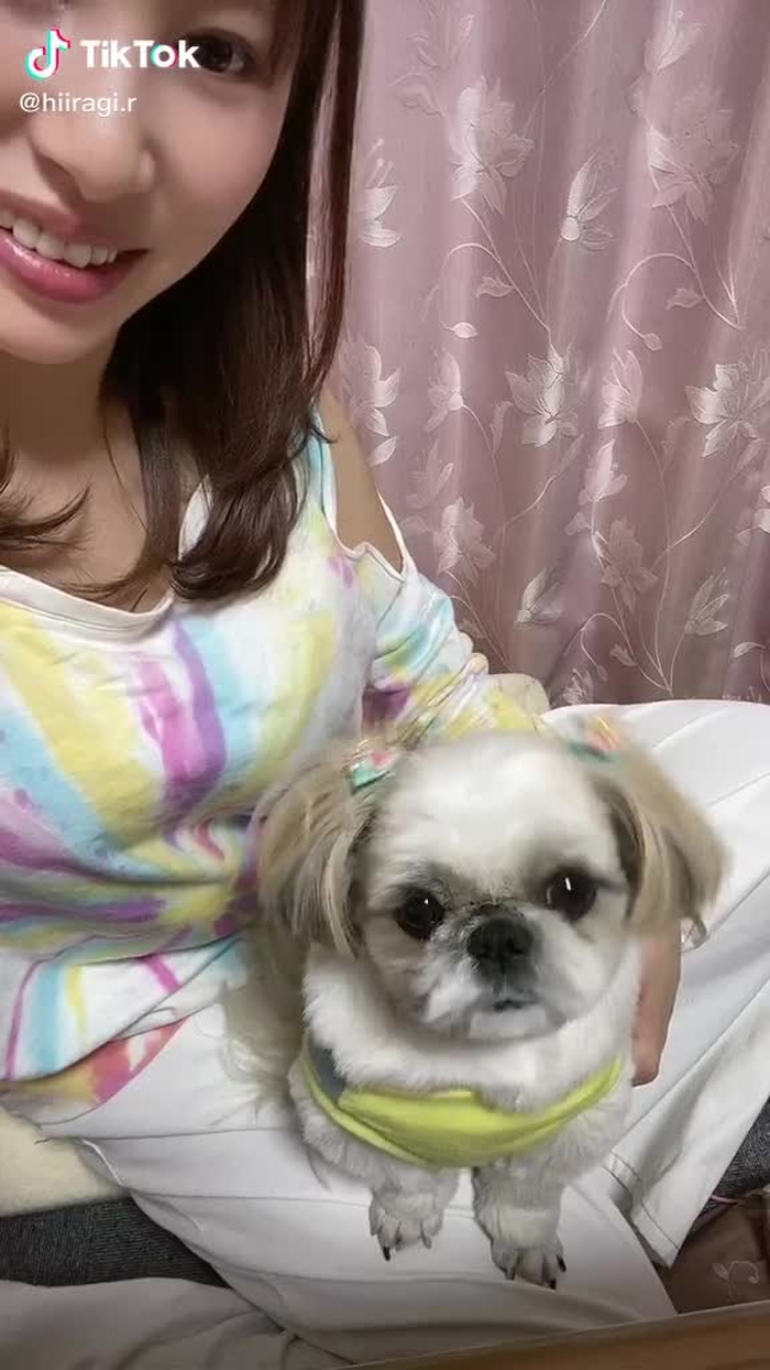 本当に反応するのかなぁ？って思ってやってみたら可愛すぎて家族一同爆笑しました🐶#犬が首を傾げる音 #犬が反応する音 #fyp#dog #pet