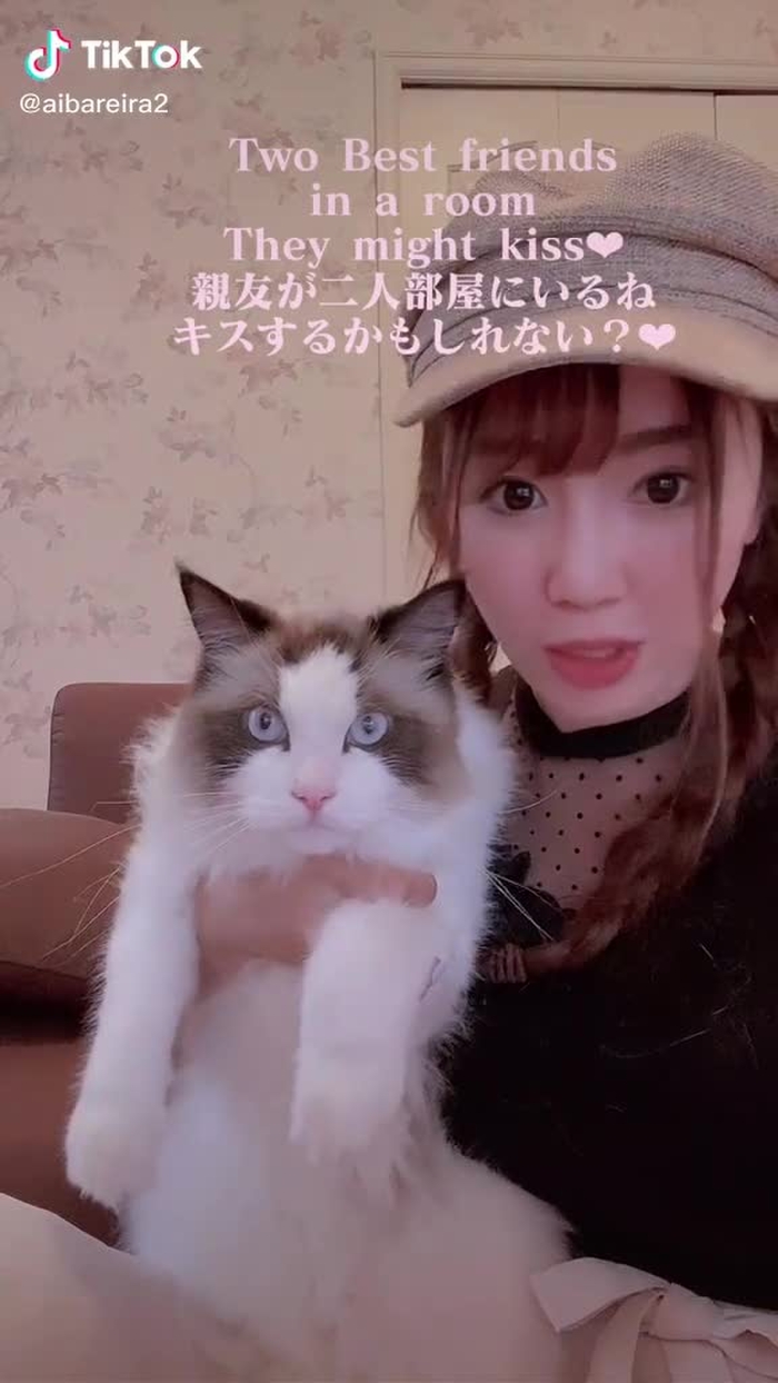 When your cat is a better actor than you XDあなたの猫があなたより演技が上手かった時❤︎ #mylittleboyfriend #japanesegirl #うちの子が可愛すぎる #イケボ　#fyp