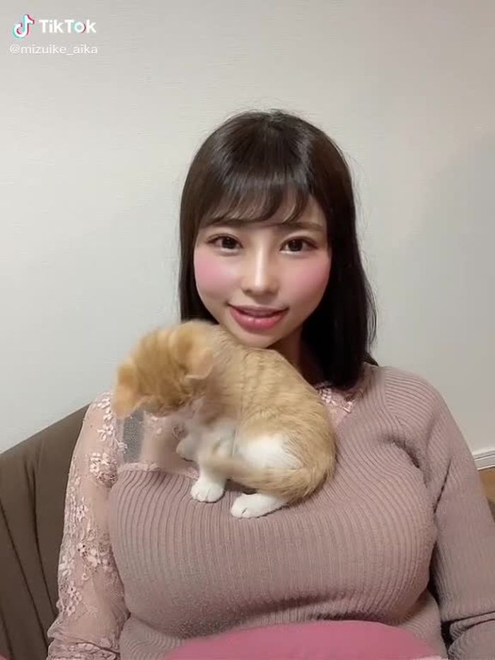 猫🐈にゃー 5