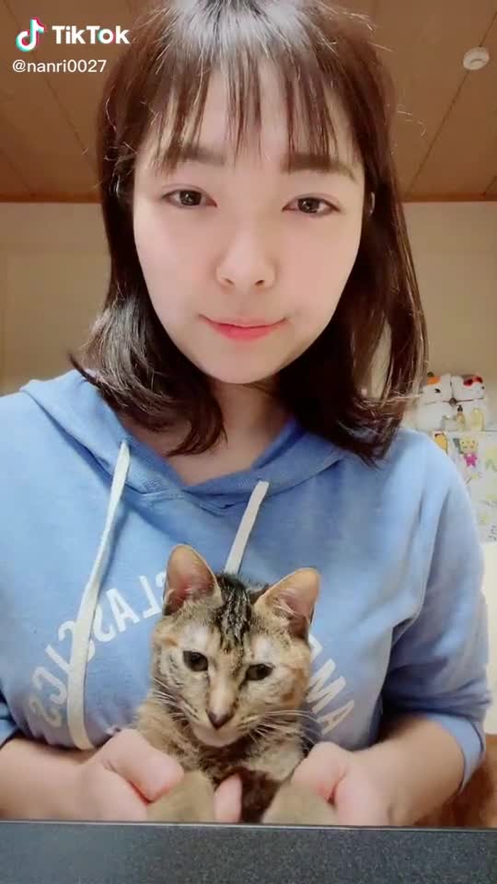 寝てる。うちの顔やば、w#猫#可愛い#愛猫#子猫#キジトラ#寝てる
