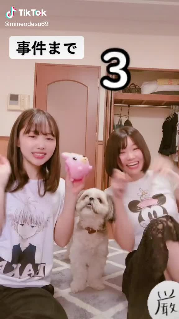 夜はまんなかにわんちゃん入れて川の字で寝ました🐶