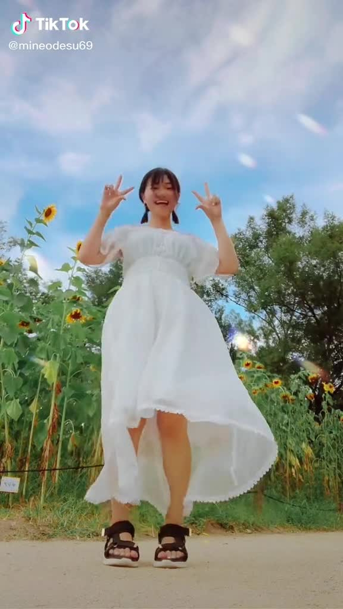 ひまわりすぐ枯れちゃう🥲🌻