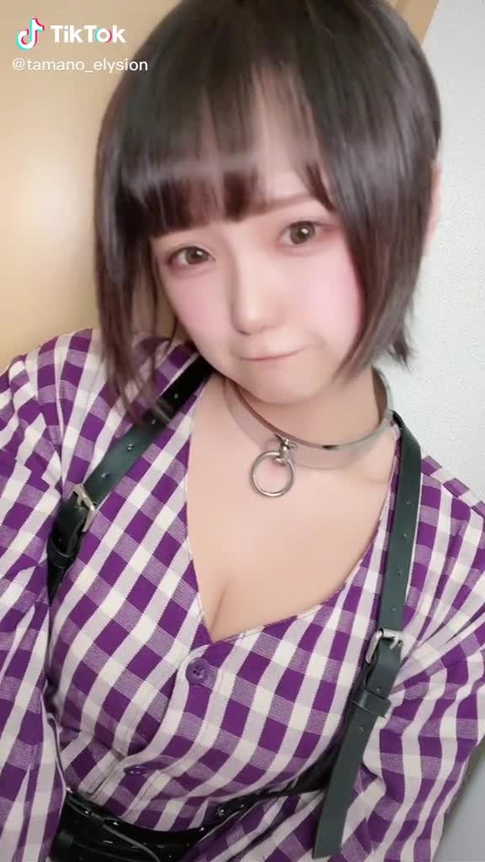 #JKにはできない と噂のやつ、できてるかはわからないです…食われそう…ﾋｨｨ🙃 #グラビアアイドル #福岡 #ましろたまの #首輪女子 #fyp #舌 #短い
