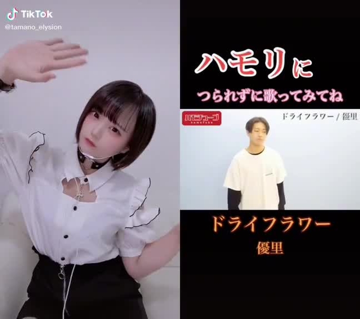 @hamochu.01 と一緒に#デュエット #グラビアアイドル #ましろたまの #tiktok初心者の限界 #首輪女子