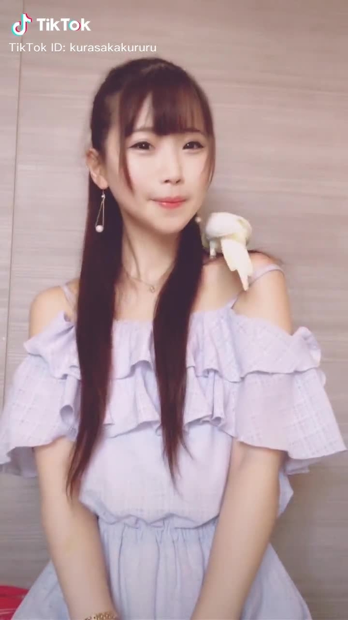 きなちゃん久々の登場🐥🐥🐥 #オカメインコのきなこちゃん