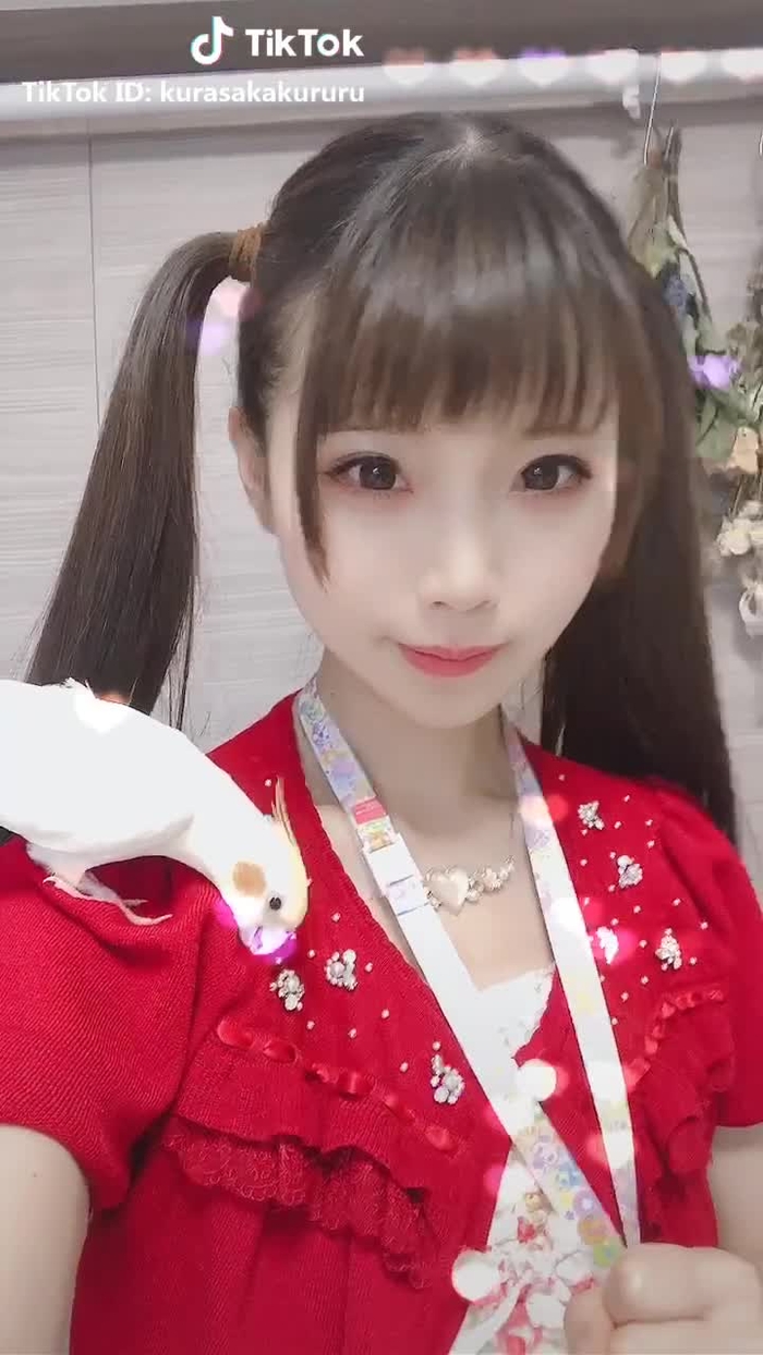 声がどんどん出るようになります。嬉しいです。でも、まだ声帯は20%くらいしか動いてないみたい。しっかり治します！#オカメインコ #オカメインコのきなこちゃん #自撮り