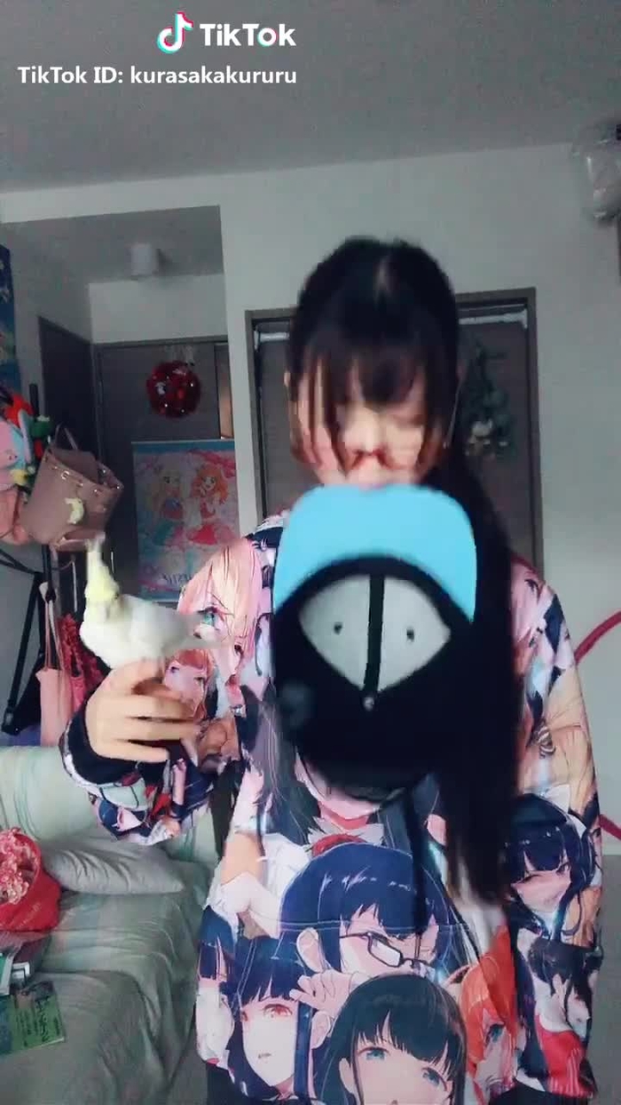 鳥使い #キャップチャレンジ #オカメインコのきなこちゃん #オカメインコ きながびびってたのでこの一回で終わりにしました🐥