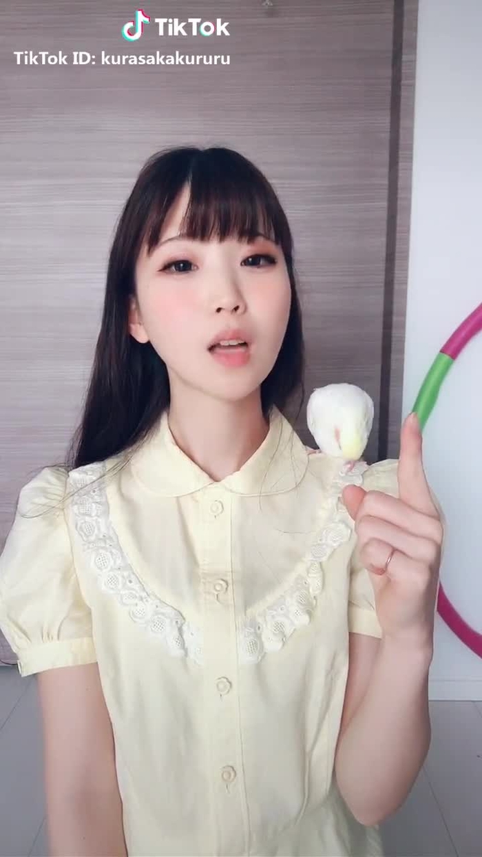 ひどい😂 #友達に彼氏が出来た時 #オカメインコのきなこちゃん #オカメインコ