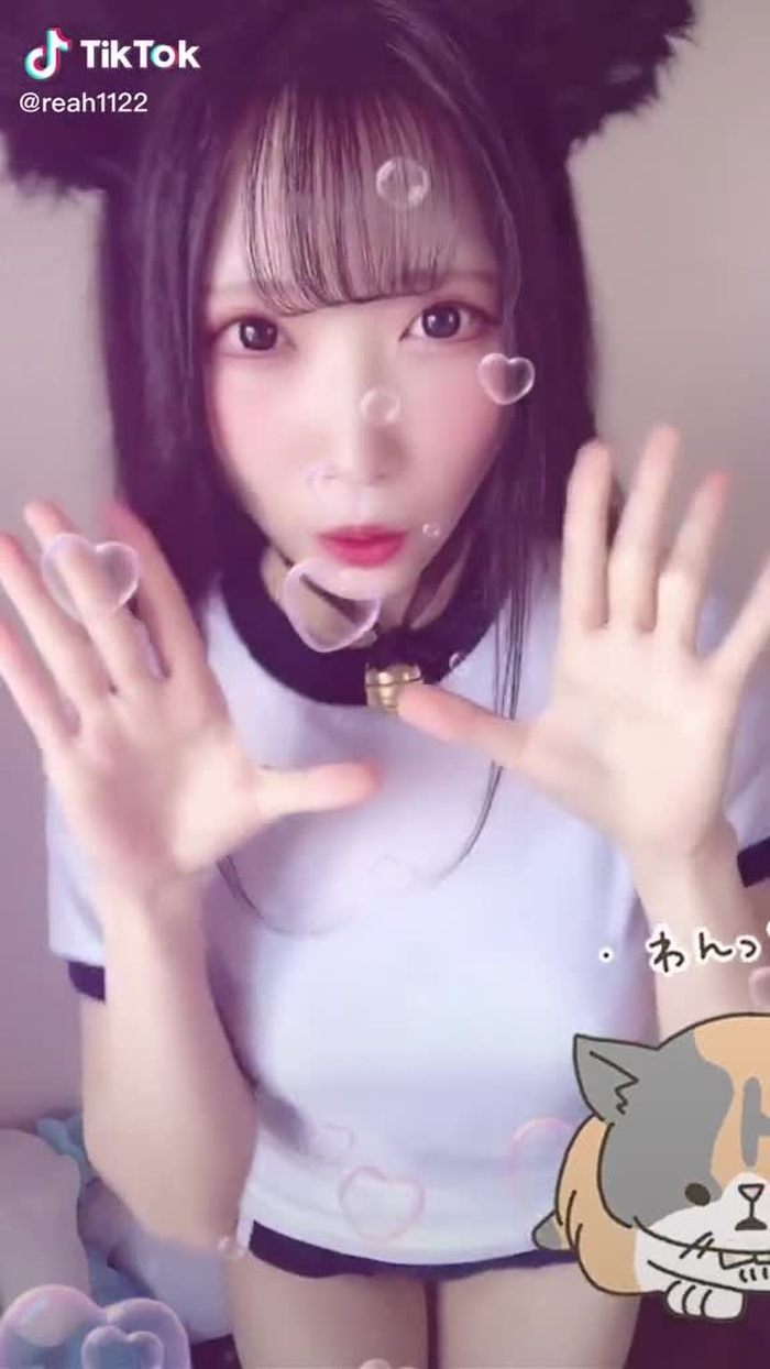 優しい飼い主様募集中です　#ありがとうにゃん #ブルマ #コスプレ