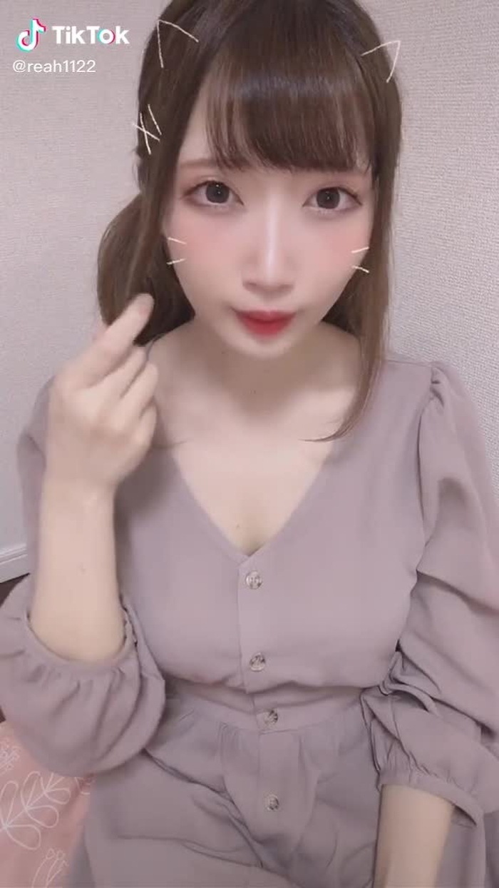 もう古い、？ #ねこになりたい #おすすめにのりたい