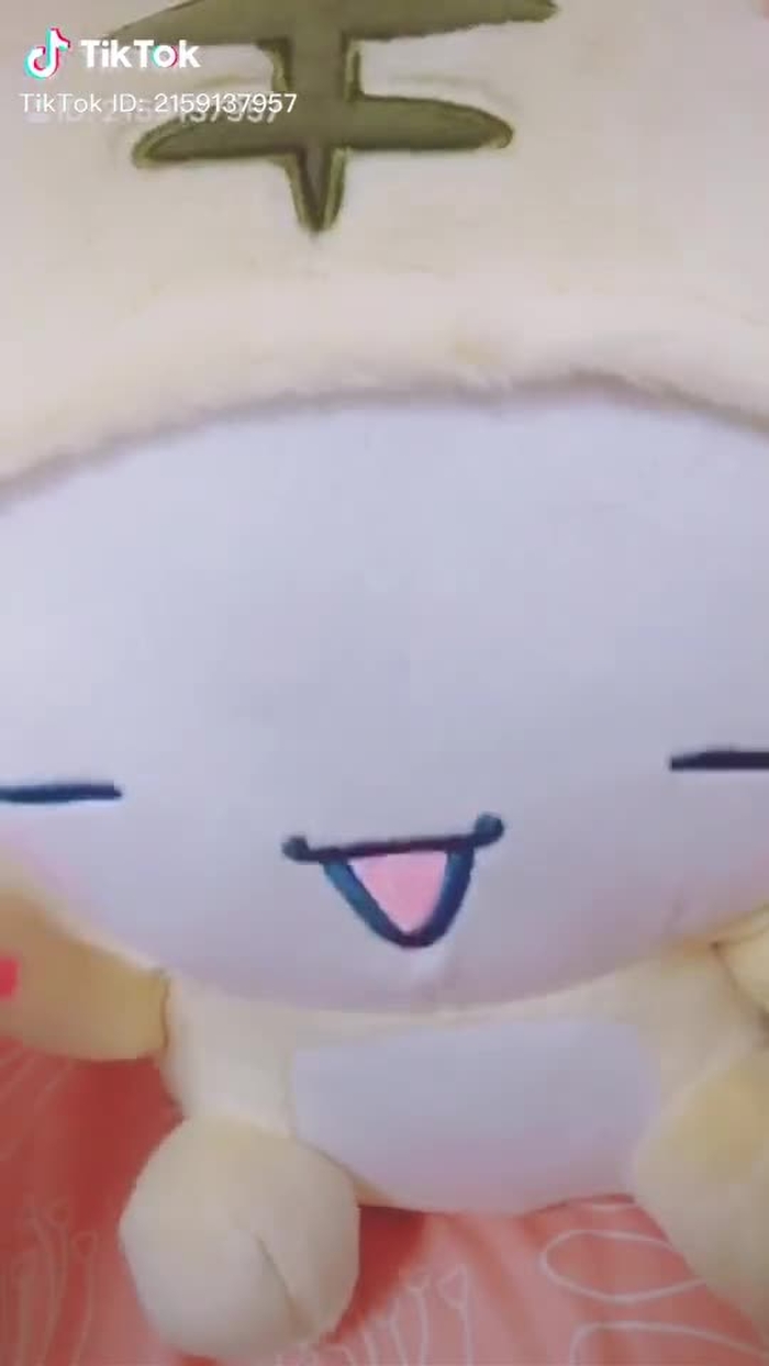 September歌ってみたけど、もうDecemberだった。#september  #うじたまいさん #シナモン #ぬいぐるみ #初投搞 (？)