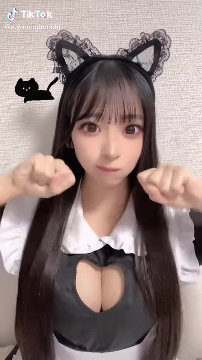 もっとこっち見て。#にゃんにゃんねこ #ベルメイク