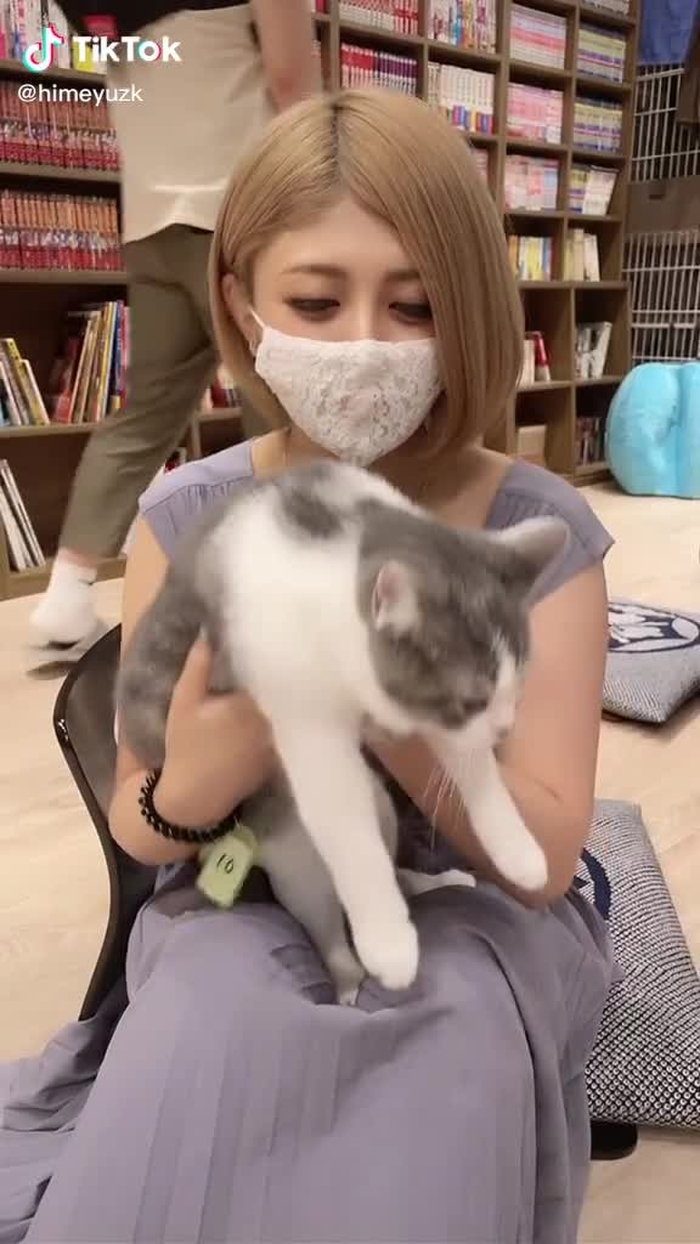 保護猫カフェBAKENEKOCAFE🐱🐾　アイドルこはださんをお胸に乗せさせていただきました。@bakenekocafe