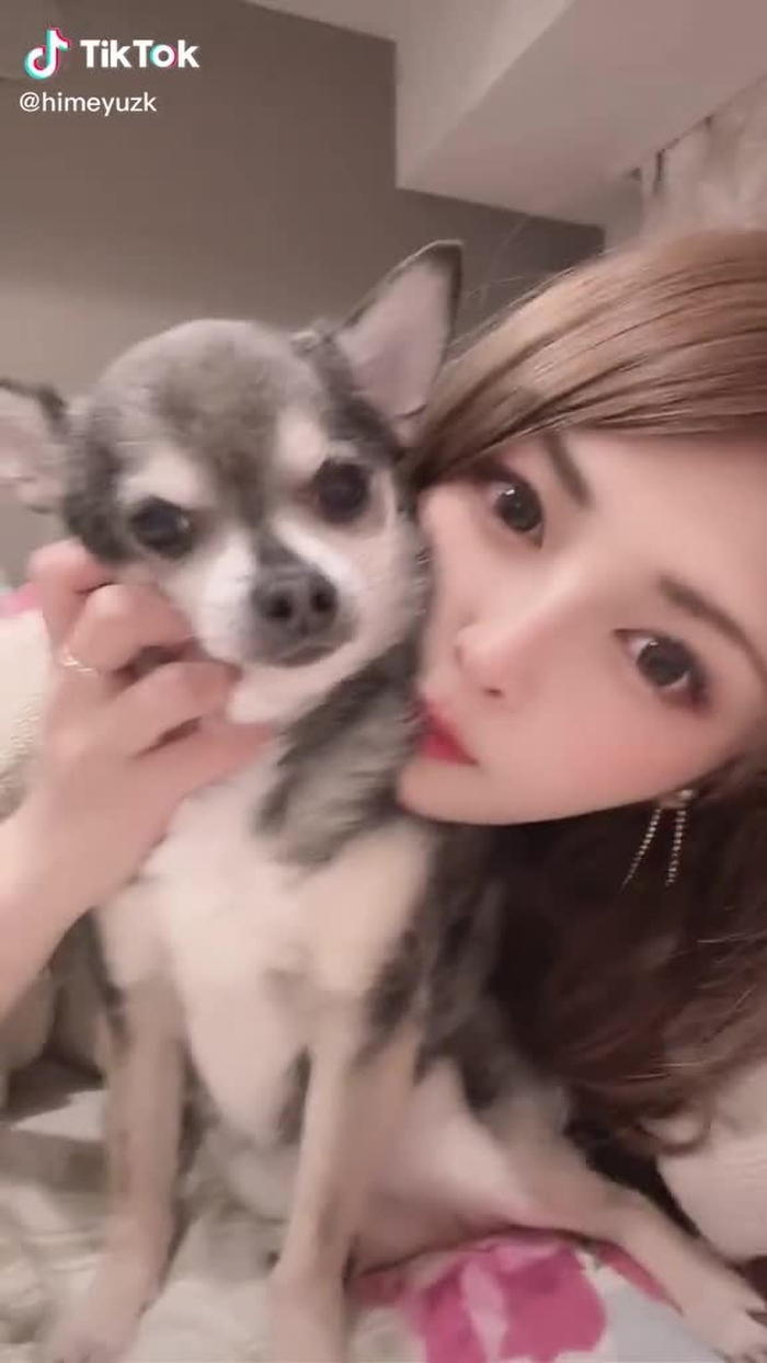 うちの子迷惑そうにするだけで反応はしてない件🤣#犬のいる生活 #犬が反応する音