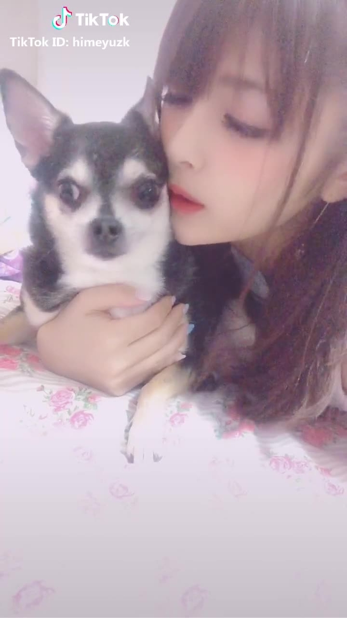 #チワワ