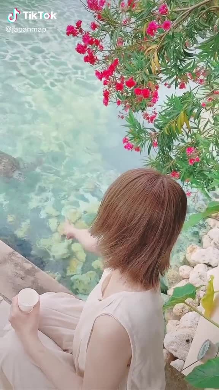 人生で初めてこんなに近くでウミガメの見たよ🐢✨エサをあげることもできてカメたち集まってくる！#ウミガメ #アラマンダ #宮古島