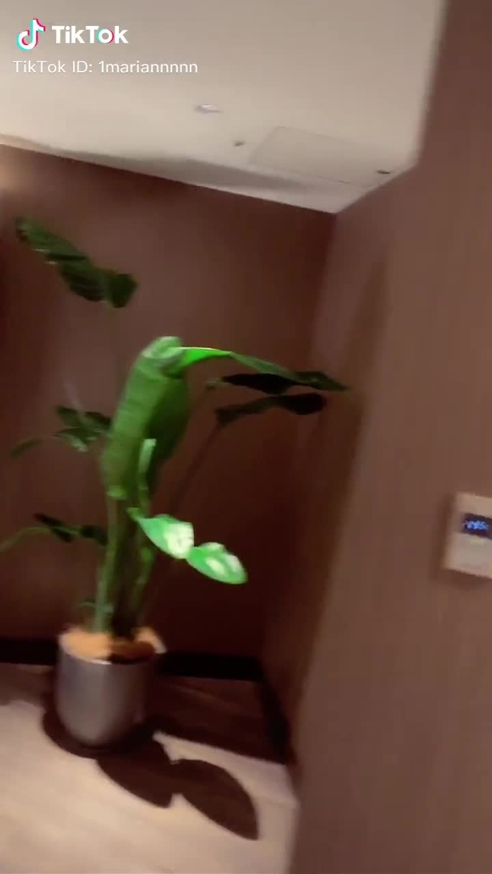 #会いたいんだ #今すぐその角から #とびだしてきたー