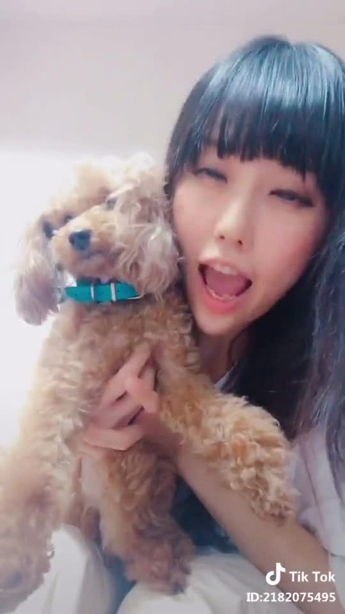 #好きって言って #嫌そう #犬 #真顔 #すきっていって
