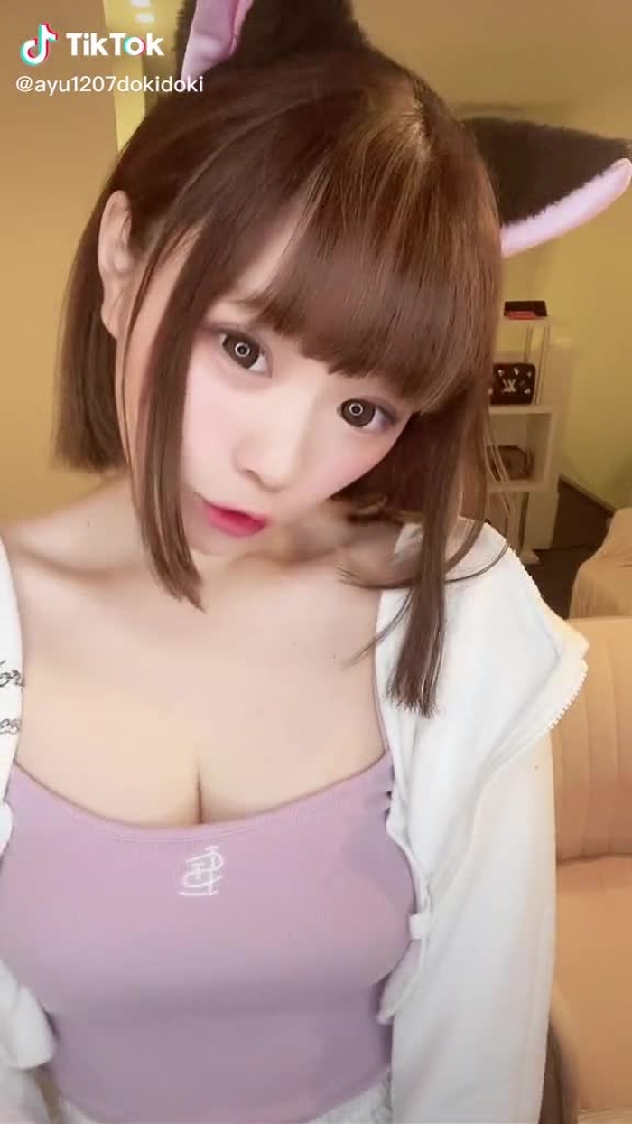 にゃんぱすー#毎日投稿 #にゃんぱすー #のんのんびより #ファン募集 #フォロー