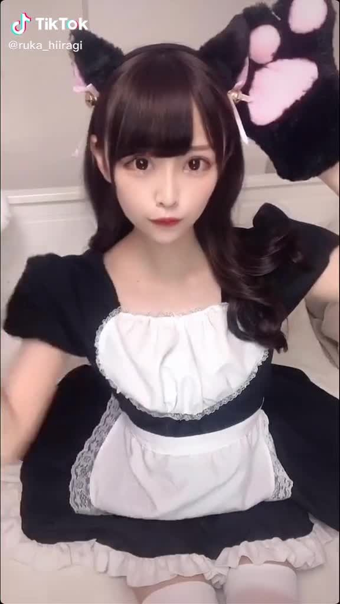 犬へのリスペクトを忘れず猫に徹する #いぬねこ