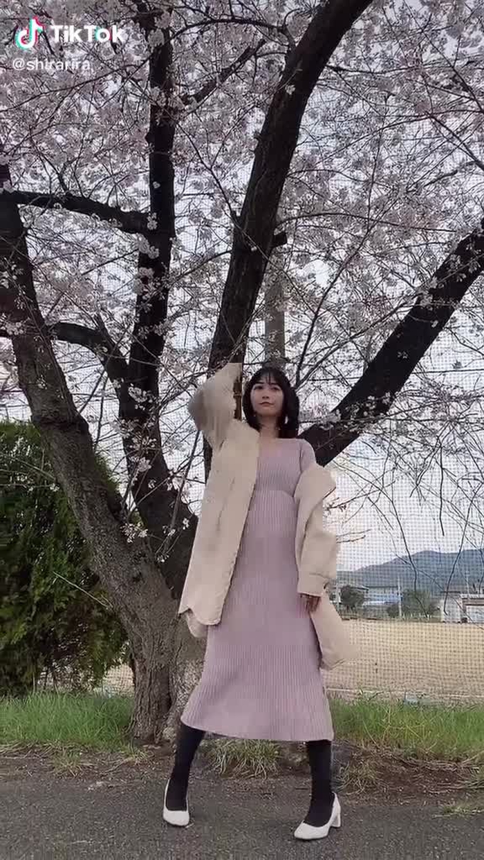 ちょっとずれた#tiktokに春が来た #おすすめのりたい#桜#お花見#腰ふりダンスのお姉さん #おすすめにのりたい #おすすめ載りたい