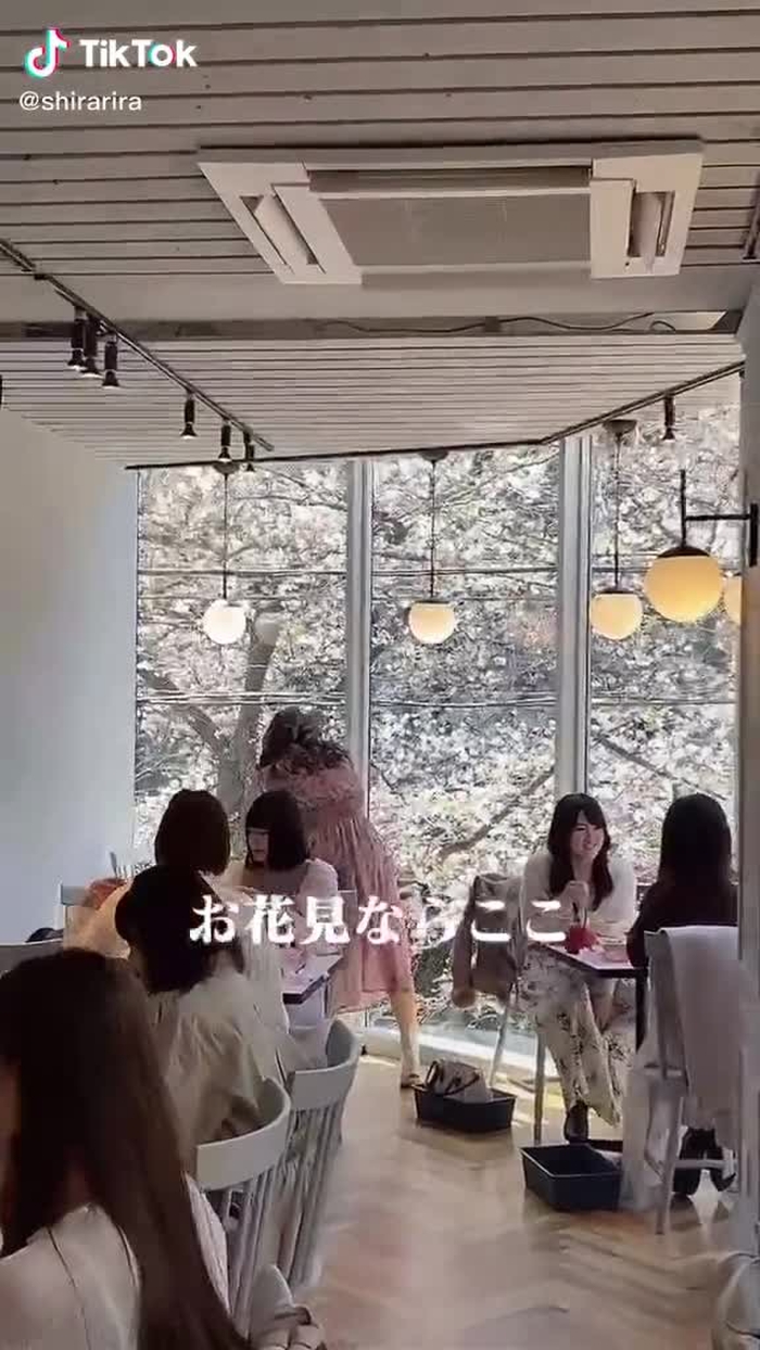 おススメの場所！インスタにお店載せました🌸#おすすめに載りたい#お花見#おすすめのりたい #おすすめ載りたい
