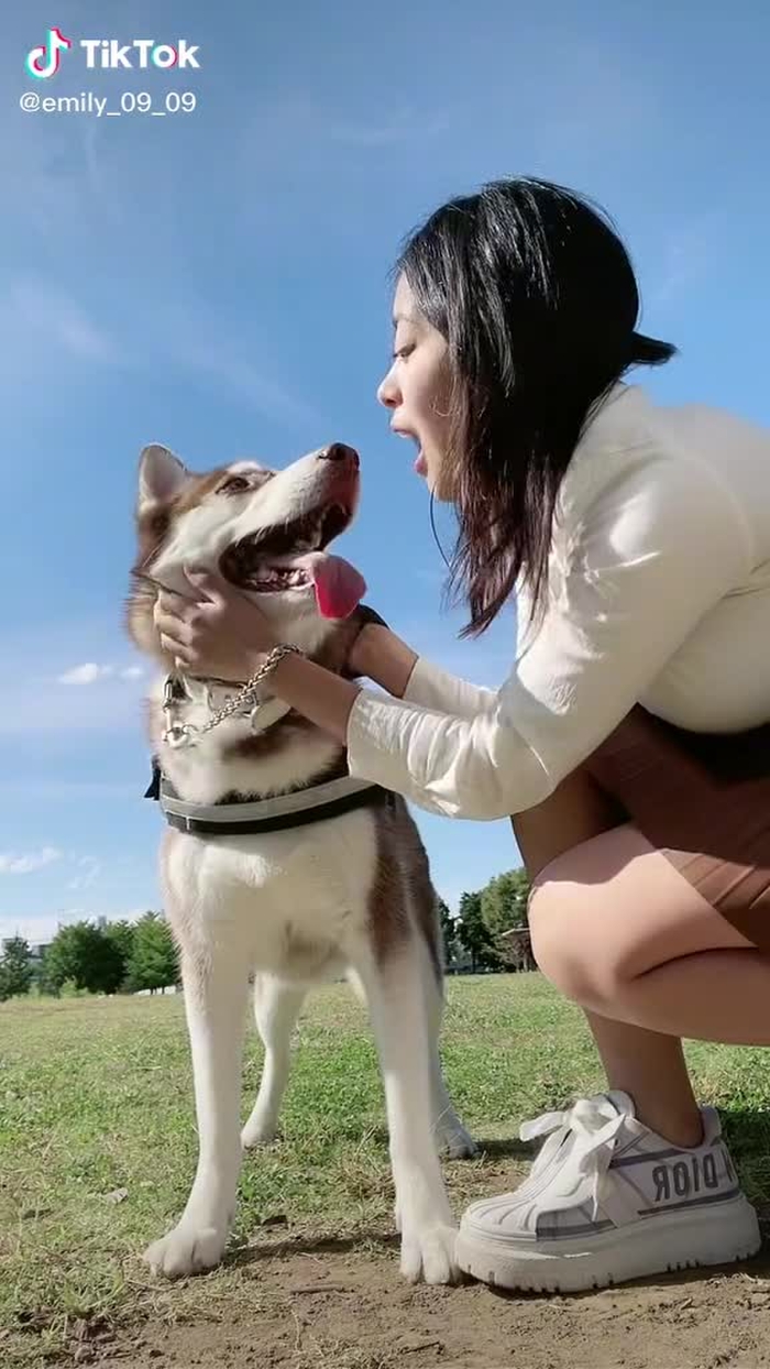 My everything ❣️🐺 #husky  #siberianhusky  #dog #doglove