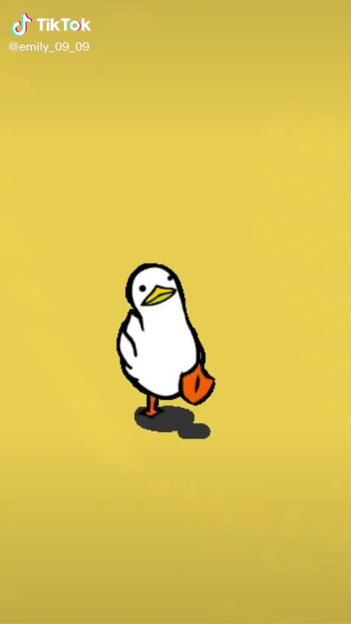 可愛い🐥すぐ消すかも😂