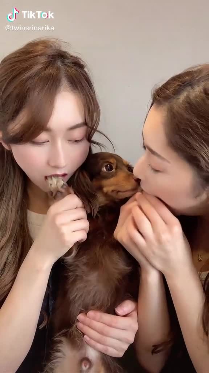 反応可愛すぎ🐶#おうちで過ごし隊 #犬のいる生活