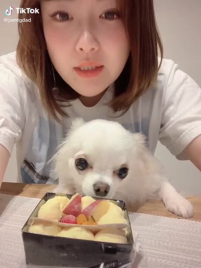 #セフィ2歳おめでとう❤️