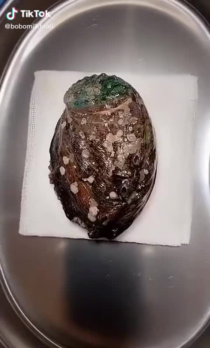 #鲍鱼 #健康 #饮食 教你如何正确的食用鲍鱼