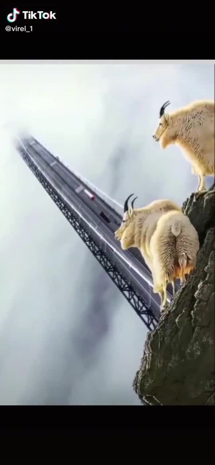 #foryou #foryoupage #viralvideo #viral #nature