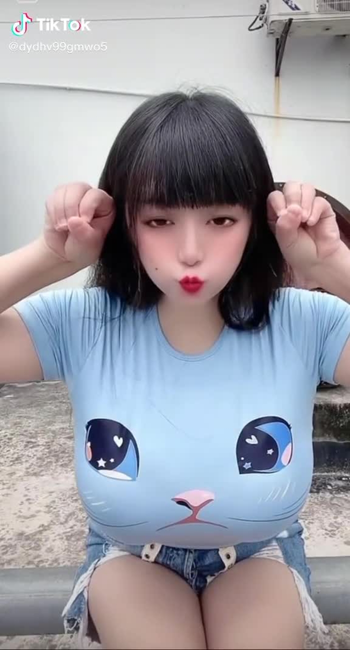 Mèo mắt to.  #gaixinh