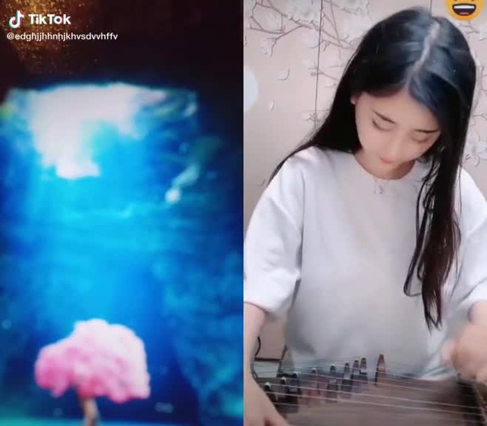 #duet cùng @hoangtuenhj ##xuhuong2021💖 #ONhaOnThi #xuhuong2021💖 #xuhuongtiktok