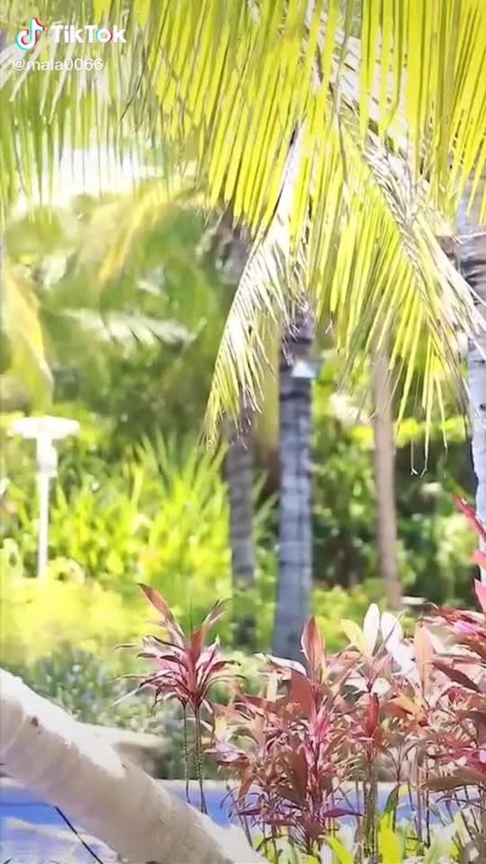 #greenscreenvideo 🥰🥰 #beautiful #beauty #fyp #foryou