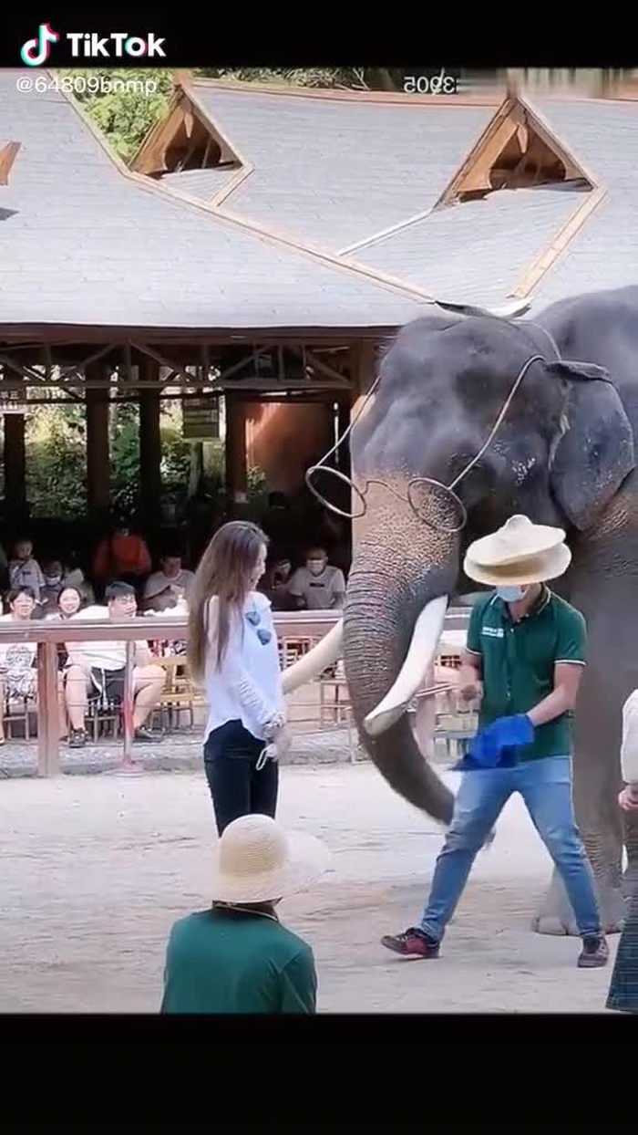 #CamHungRetro #TikTokFashUP #ROXThứcTỉnh